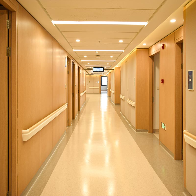 Double Steel Wall Panel Double Steel Wall Panel